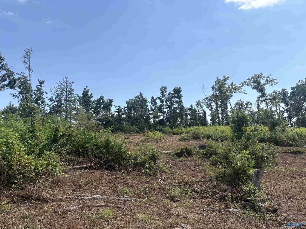 Picture 12