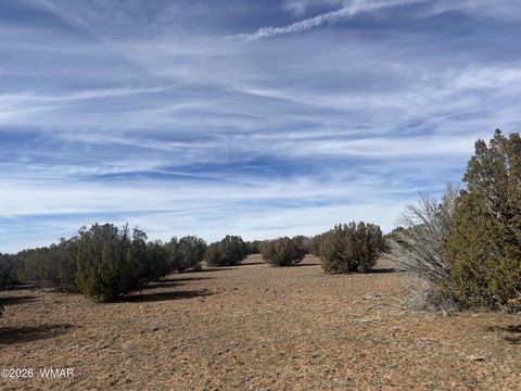 Remote Land Parcel in Show Low