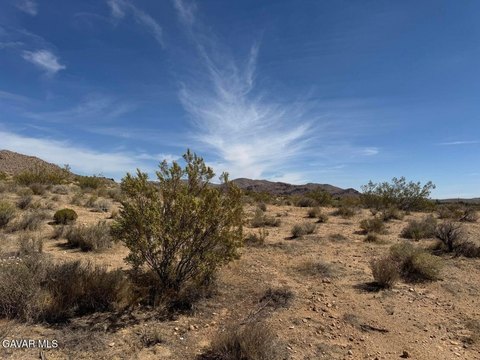 Rosamond Desert Land Opportunity