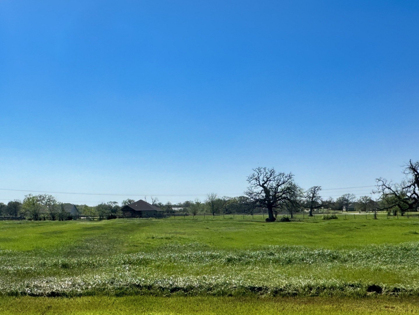 Land in Iola, Texas