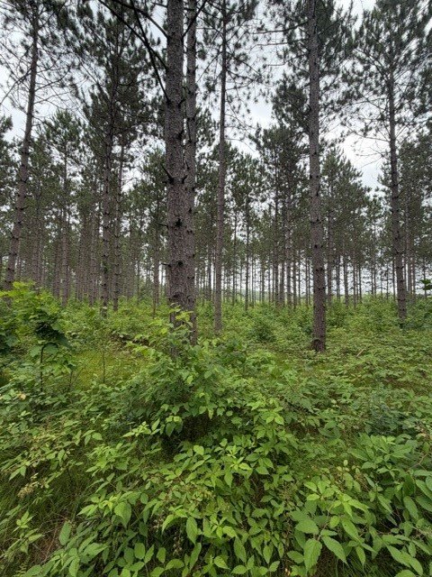Picture 7