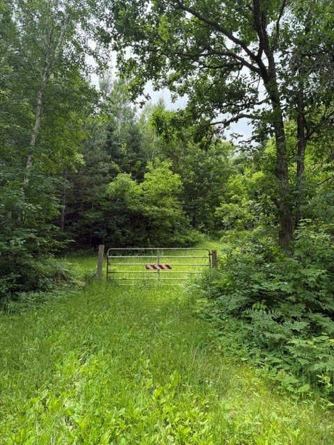 Picture 8