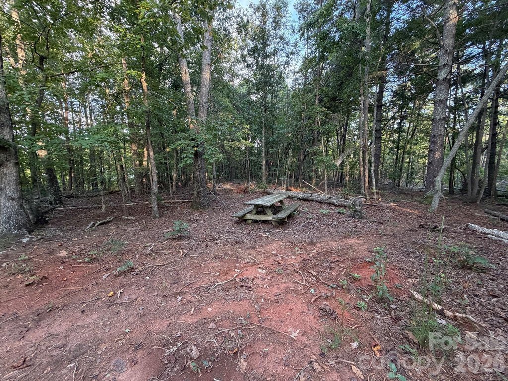 Picture 25
