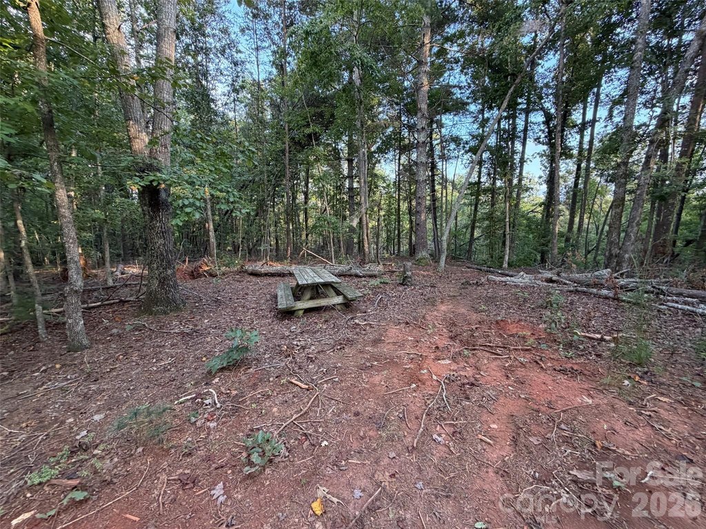 Picture 30