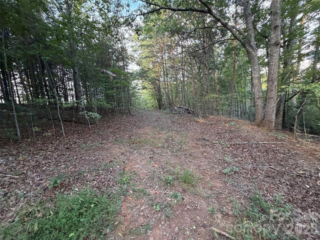 Picture 20