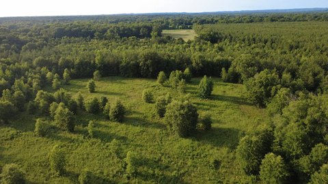 Secluded Hunting Tract with Pond