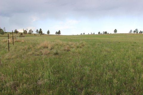 Southern Black Hills Acreage Available