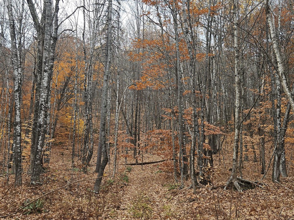 Picture 10