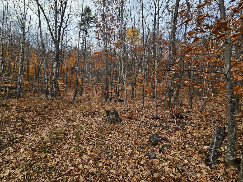 Picture 9