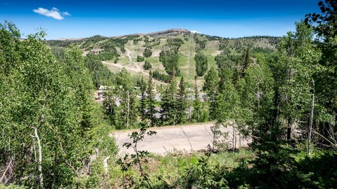Half-Acre Mountain Lot with Views