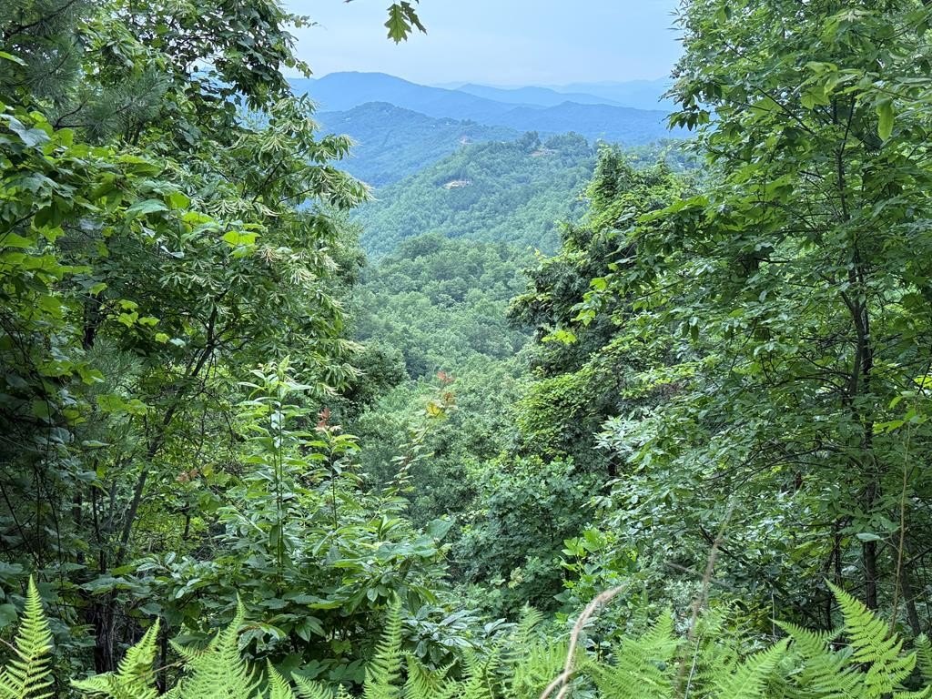 Land with Mountain Views