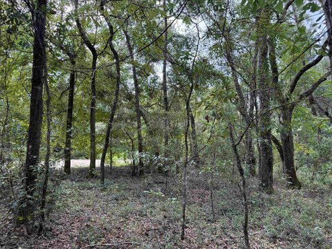 Land, Greenville, FL