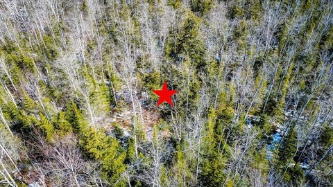 Wooded Homesite Near Baileys Harbor