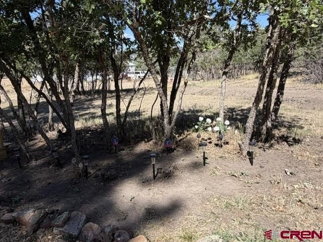 Picture 29