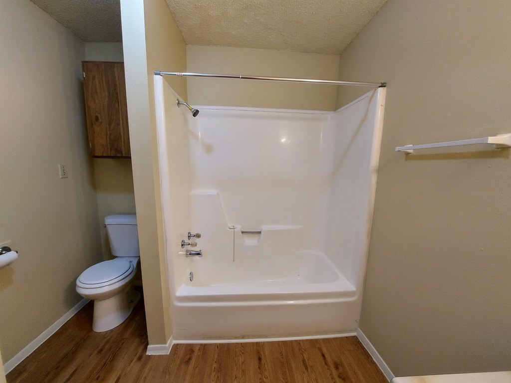 Picture 5
