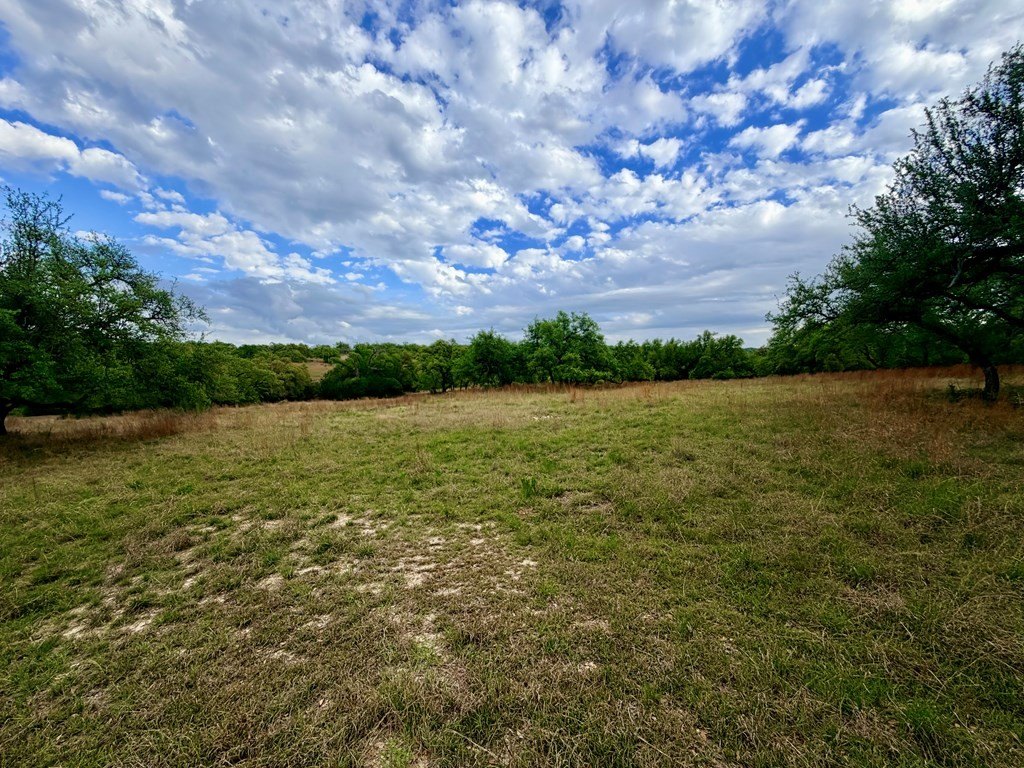 Picture 11