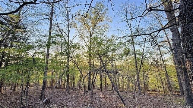 Picture 13