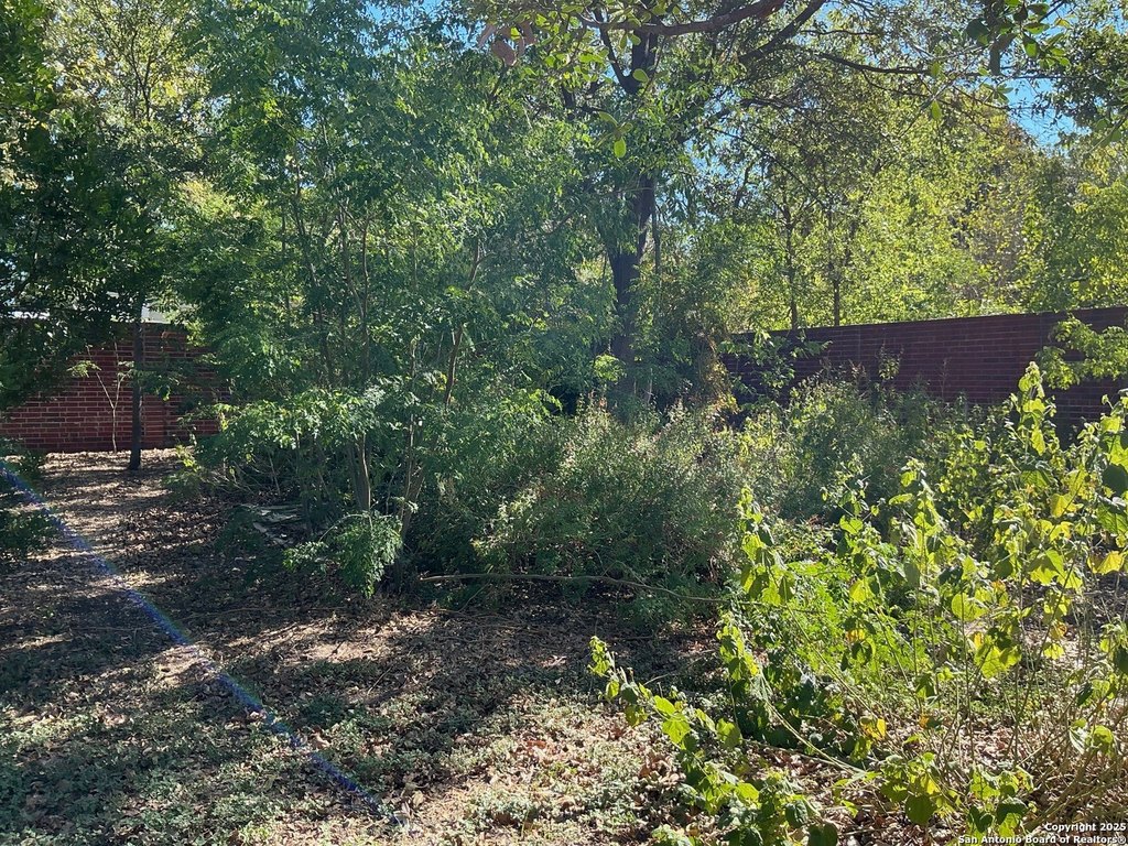 Picture 6