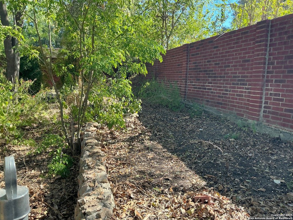 Picture 5