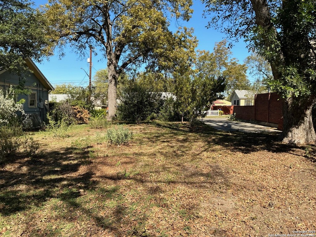 Picture 8