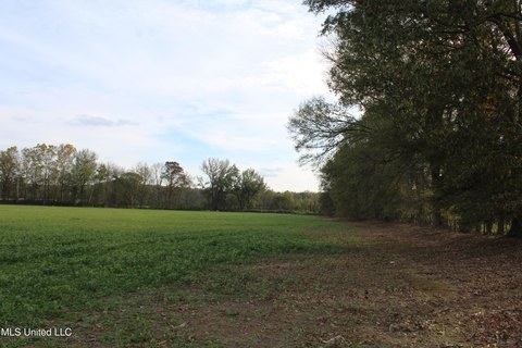 Byhalia Land with Development Potential