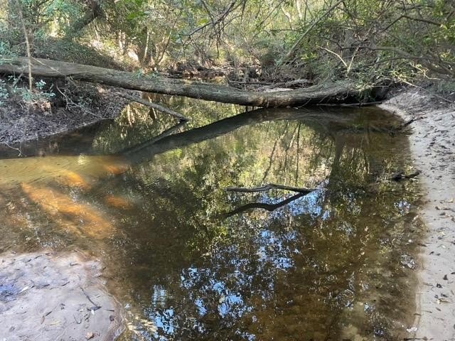Poplarville Land with Creek