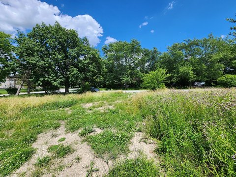 LAND - Crete, IL
