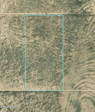 LAND - Salt Flat, TX