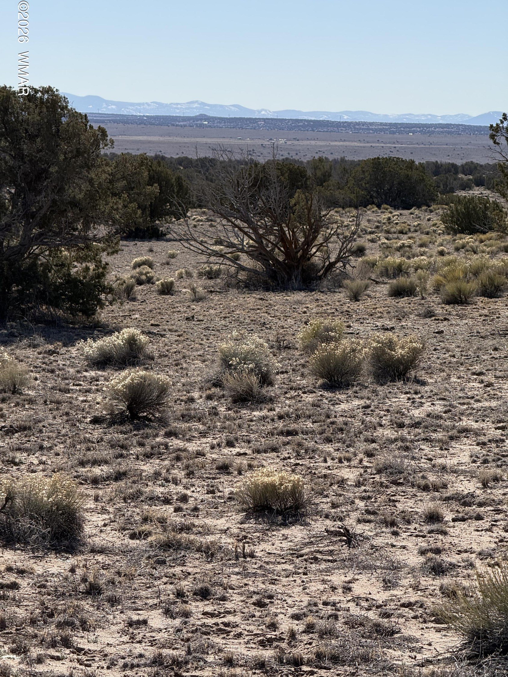 Land in St. Johns, AZ