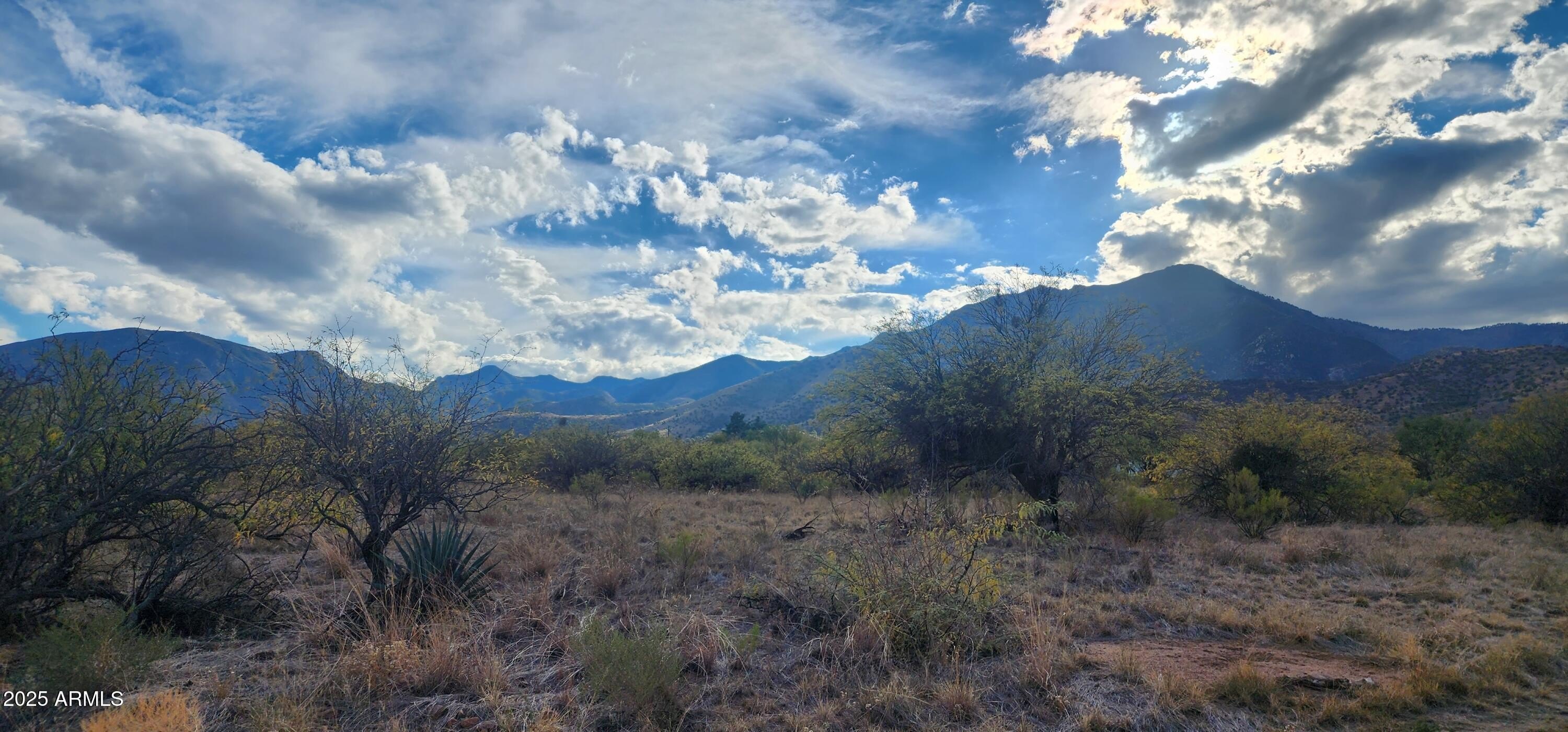 Hereford, AZ Land with Views
