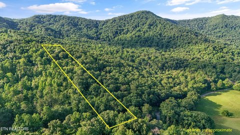 LAND - Sevierville, TN