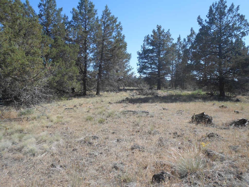 Picture 4