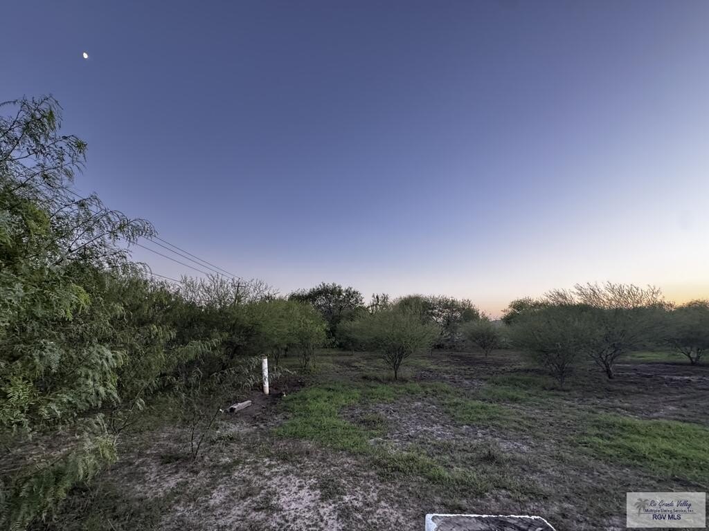 Picture 6