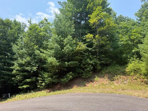 LAND - Hiawassee, GA
