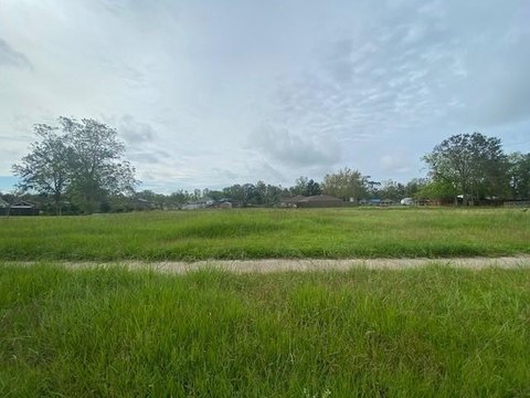Land, Violet, LA