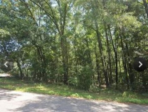 Heavily Wooded Corner Lot