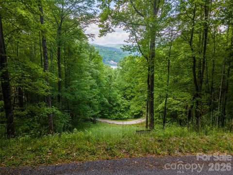 Land, Tuckasegee, NC