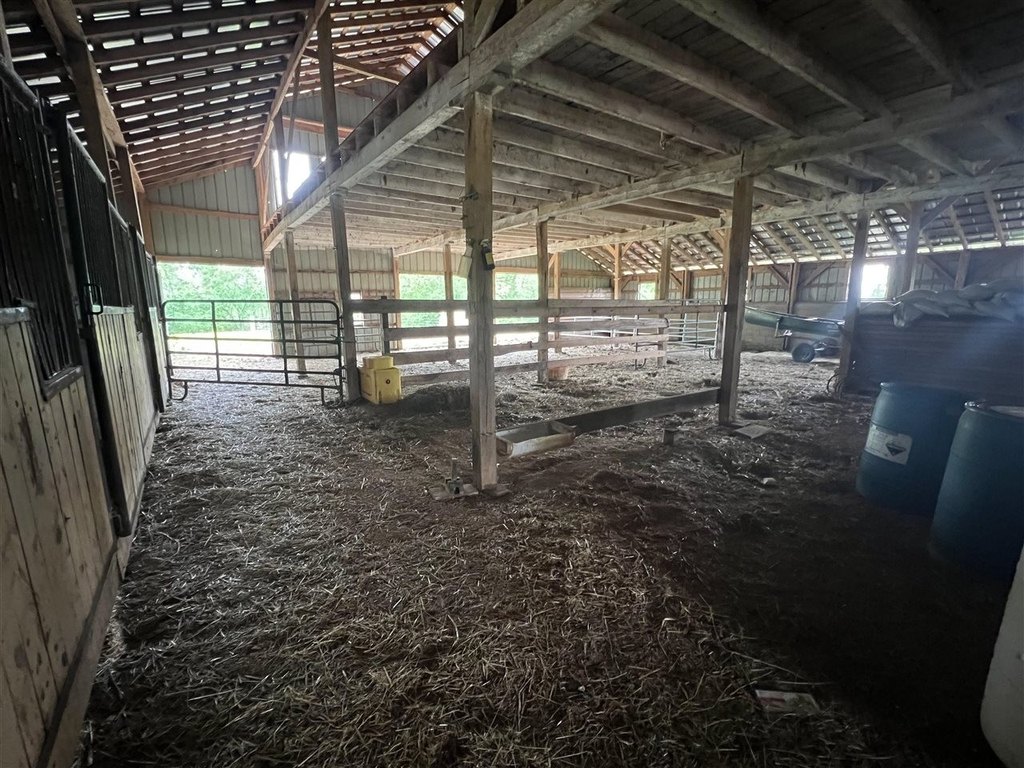 Picture 2