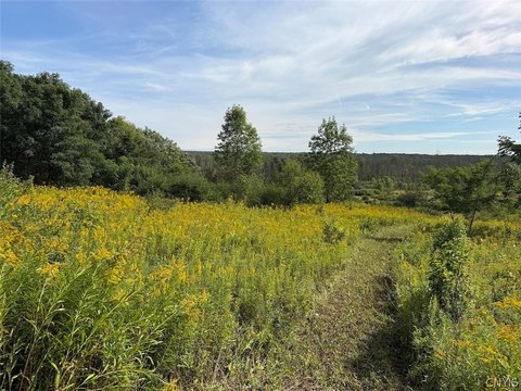 Land, South Dayton, NY