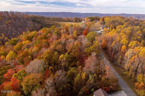 Land with Mountain Views