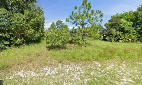 Land, WEEKI WACHEE, FL