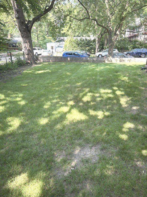 Picture 8