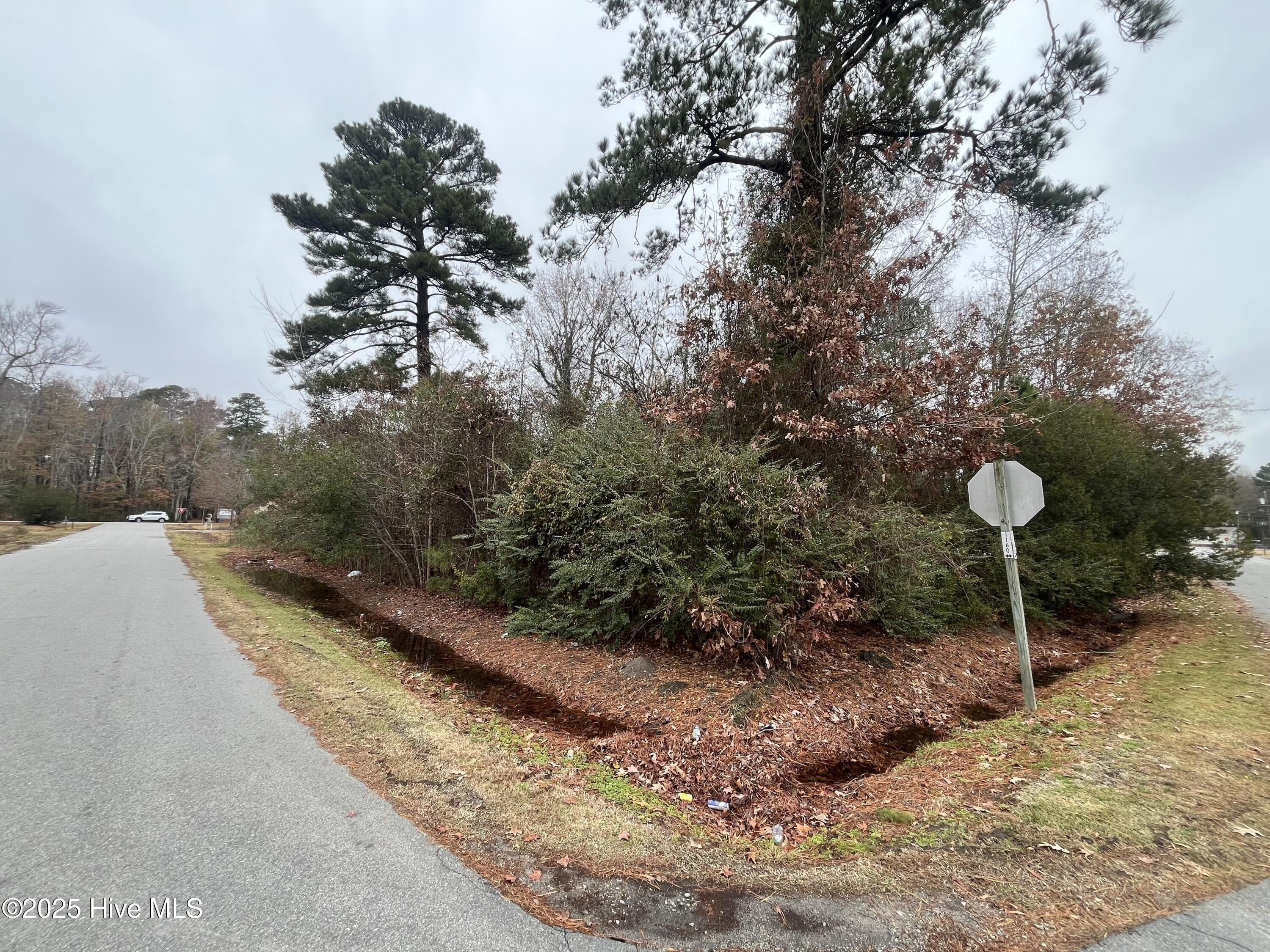 Waterfront Community Corner Lot