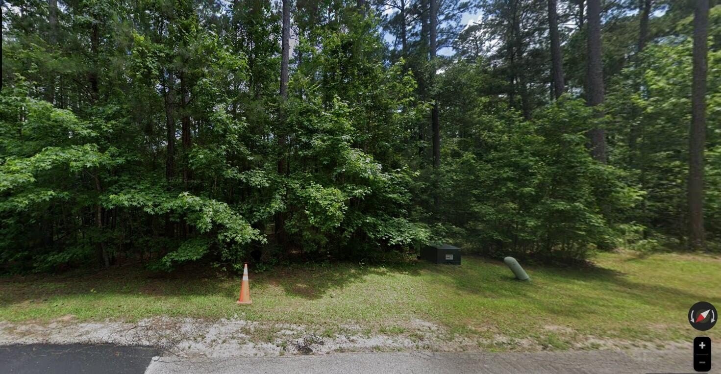 Quarter-Acre Homesite in Savannah Lakes