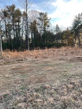 Cleared Land in North Wilkesboro