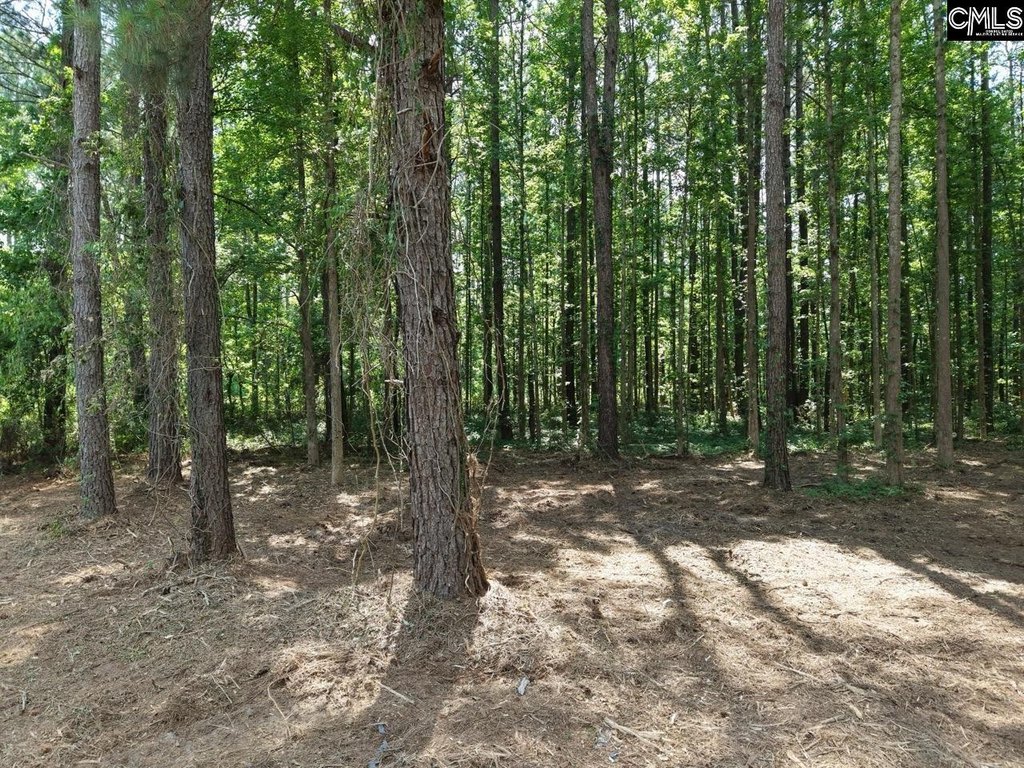 Picture 13
