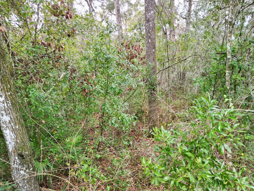 Picture 17