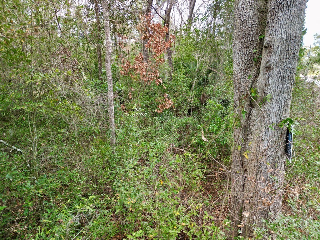 Picture 16