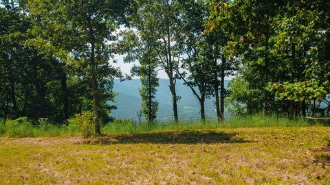 Land, Jasper, TN