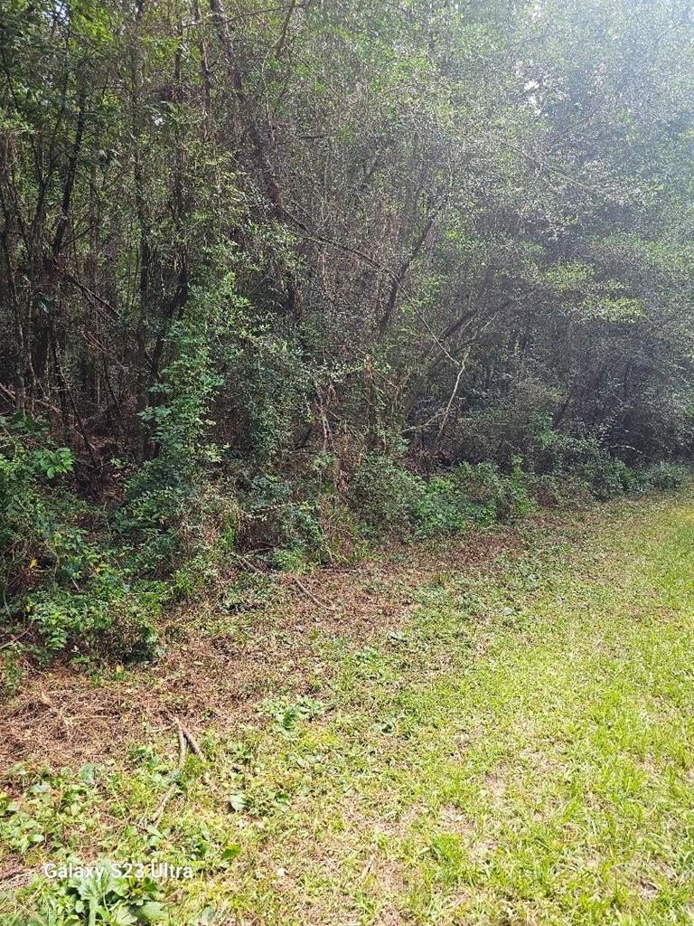 Lakefront Land in Lumberton, MS